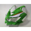 Carenagem Frontal Kawasaki Zx4r 24/26 Orig Detalhes 61478 Verde