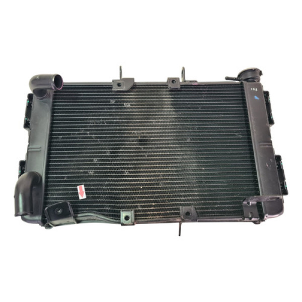 Radiador Agua Triumph Tiger 660 Sport 22/25 Detalhes 55504