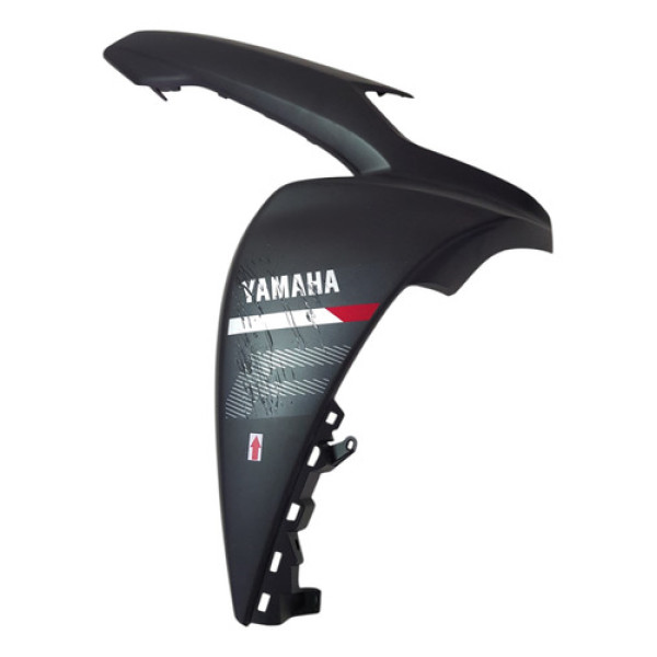 Carenagem Frontal Lateral Fluo 125 23/25 L/d Detalhes 55371