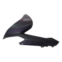 Carenagem Frontal Lateral Fluo 125 23/25 L/d Detalhes 55371