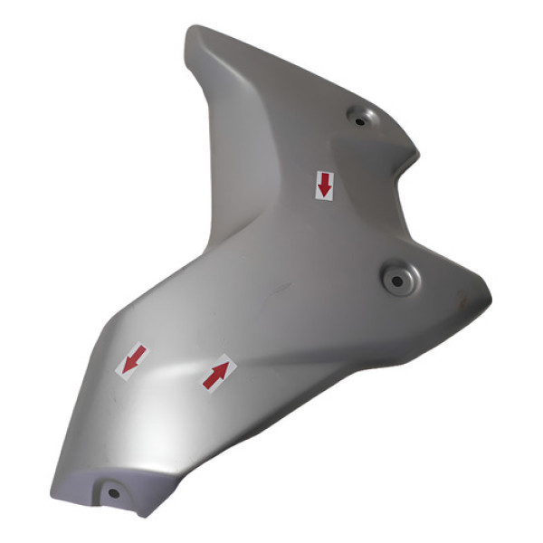 Carenagem Lateral Aba Bmw R1250 Gs 19/23 L/e Orig 57023 Prateado