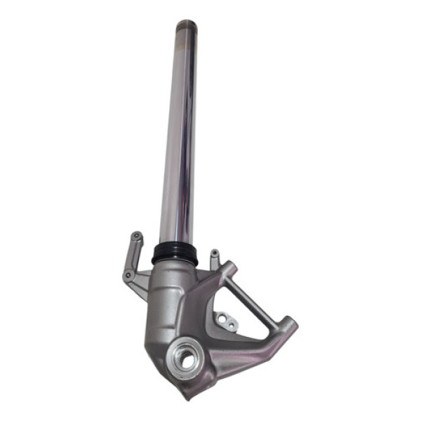 Bengala Botinha L/e Triumph Tiger 900 2021-2025 Orig 60296