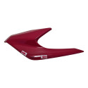 Carenagem Farol Direito Honda Cb 250f Original Detalhe 56169