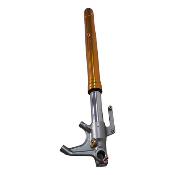 Bengala Triumph Thruxton R 1200 16/20 L/d Orig 58954