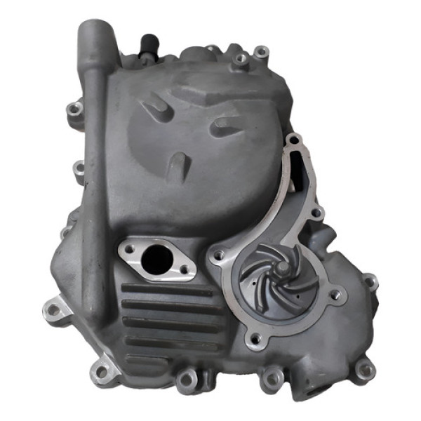 Tampa Estator Bomba Dagua Bmw C 400 X 23/24 Orig 59820 Prateado